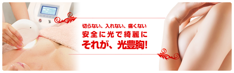 アポリネール光豊胸専門店